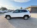 Jeep Cherokee 2.0 Mjt II 4WD Longitude 80.467 km Weiß - thumbnail 5