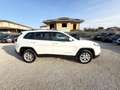 Jeep Cherokee 2.0 Mjt II 4WD Longitude 80.467 km Weiß - thumbnail 3