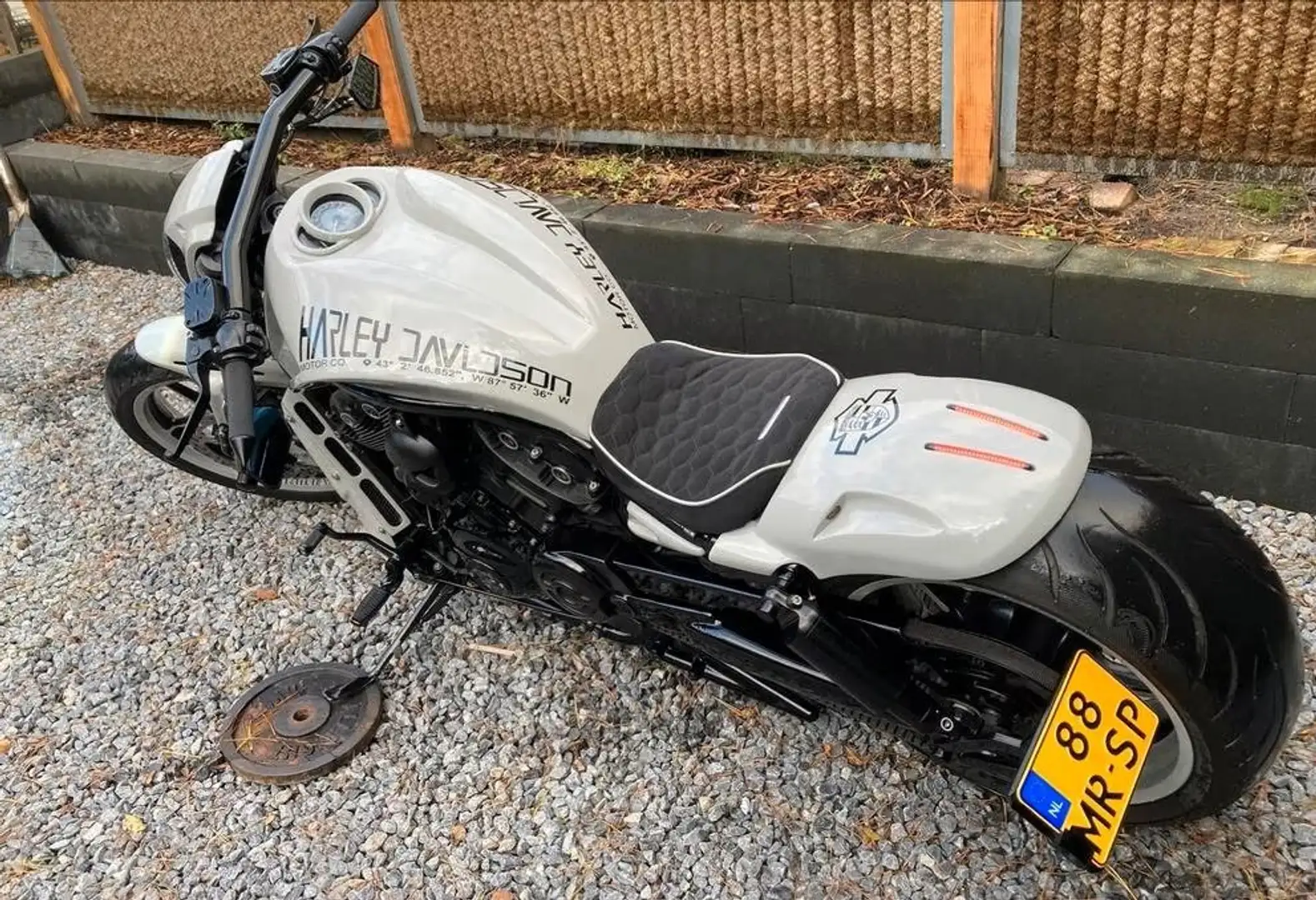 Harley-Davidson Night Rod Wit - 2