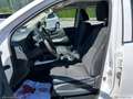 Nissan Navara 2.3 dCi 4WD DC Telaio Visia Bianco - thumbnail 12