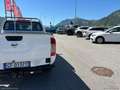Nissan Navara 2.3 dCi 4WD DC Telaio Visia Bianco - thumbnail 10