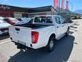 Nissan Navara 2.3 dCi 4WD DC Telaio Visia Bianco - thumbnail 8