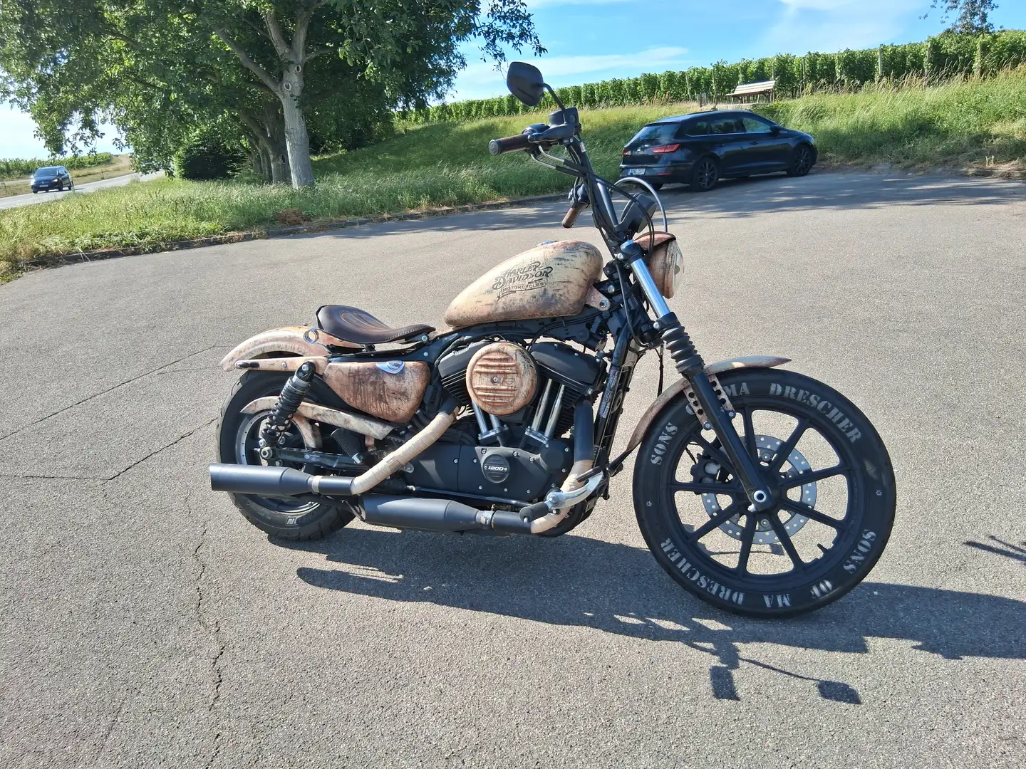 Harley-Davidson Iron 1200 2018 FMACRO - Endzeit Painting Beige - 1