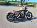 Harley-Davidson Iron 1200 2018 FMACRO - Endzeit Painting Beige - thumbnail 2