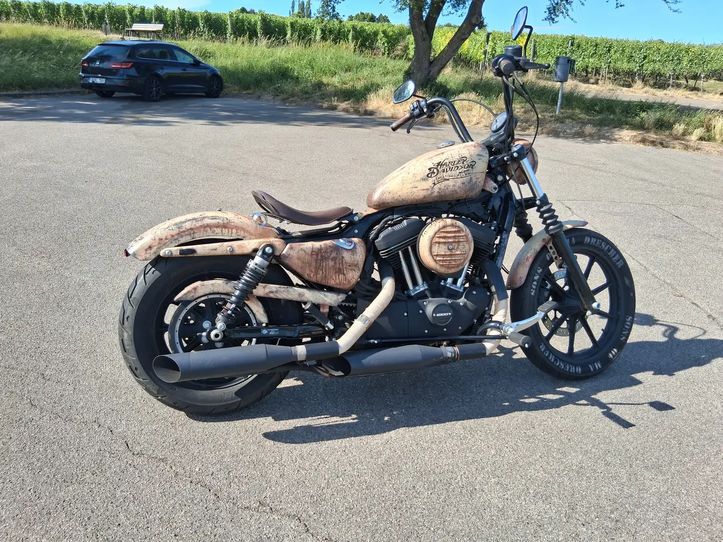 Harley-Davidson Iron 1200 2018 FMACRO - Endzeit Painting Beige - 2