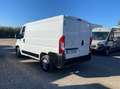Peugeot Boxer 328 2.2 bluehdi 120cv S&S L1H1 Bianco - thumbnail 6
