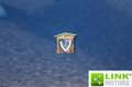 Fiat 600 D VIGNALE DEL 1962 RESTAURO CONSERVATIVO Blau - thumbnail 11