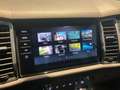 Skoda Kodiaq 4x4 SCOUT TDI DSG Weiß - thumbnail 19