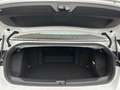 Volkswagen T-Roc R-LINE 1.5 TSI LED PLUS NAVI SHZ Weiß - thumbnail 15