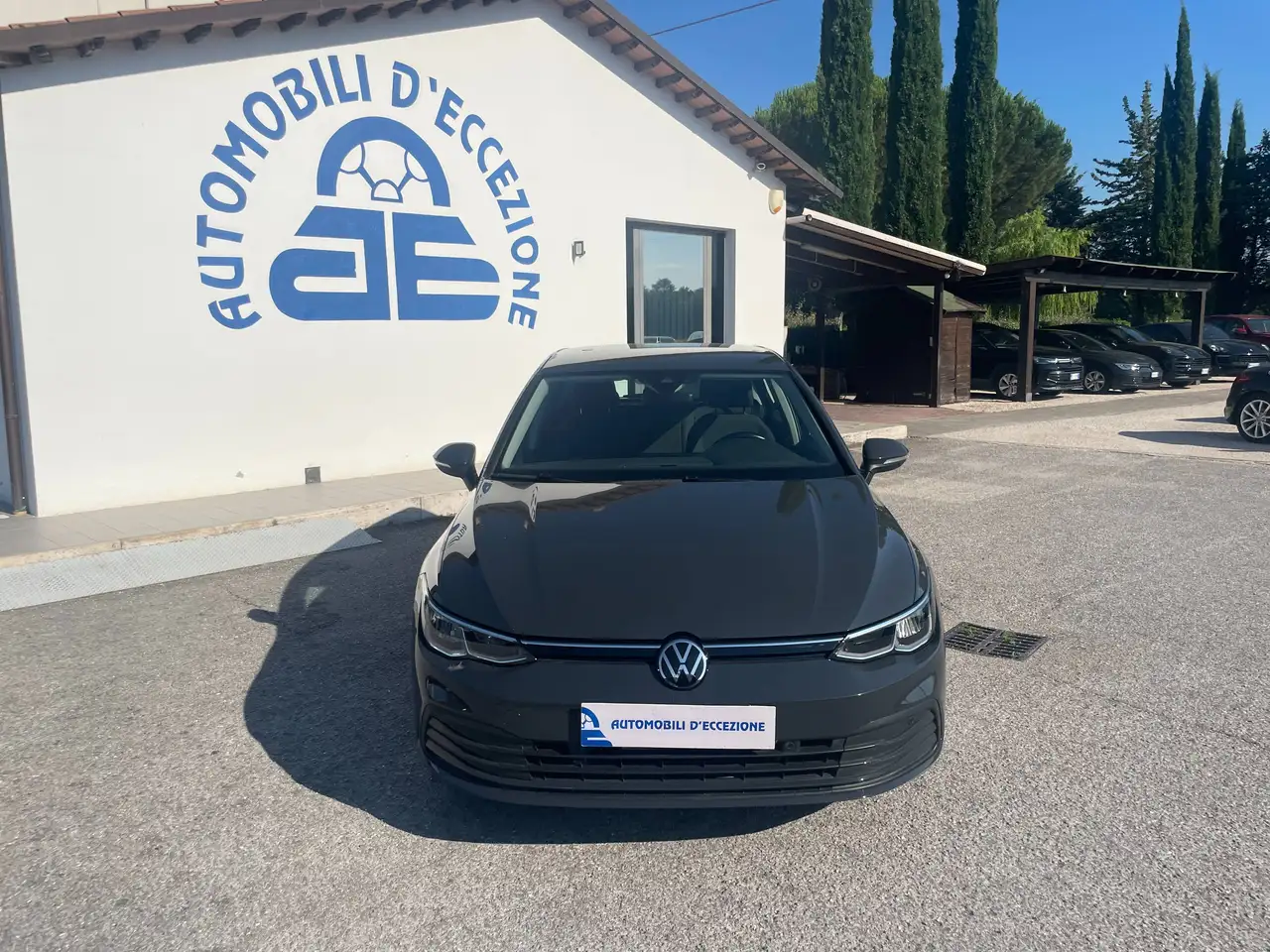 Volkswagen Golf usata in vendita