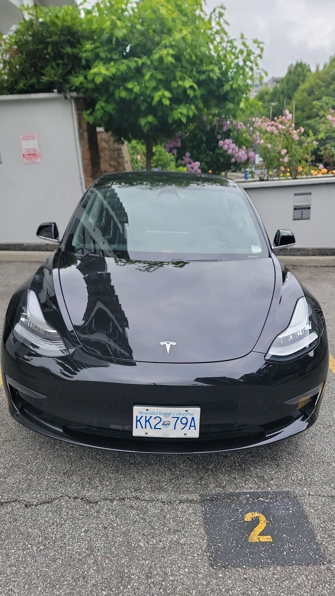 2020 Tesla Model 3 Standard Range Plus RWD thumb 15