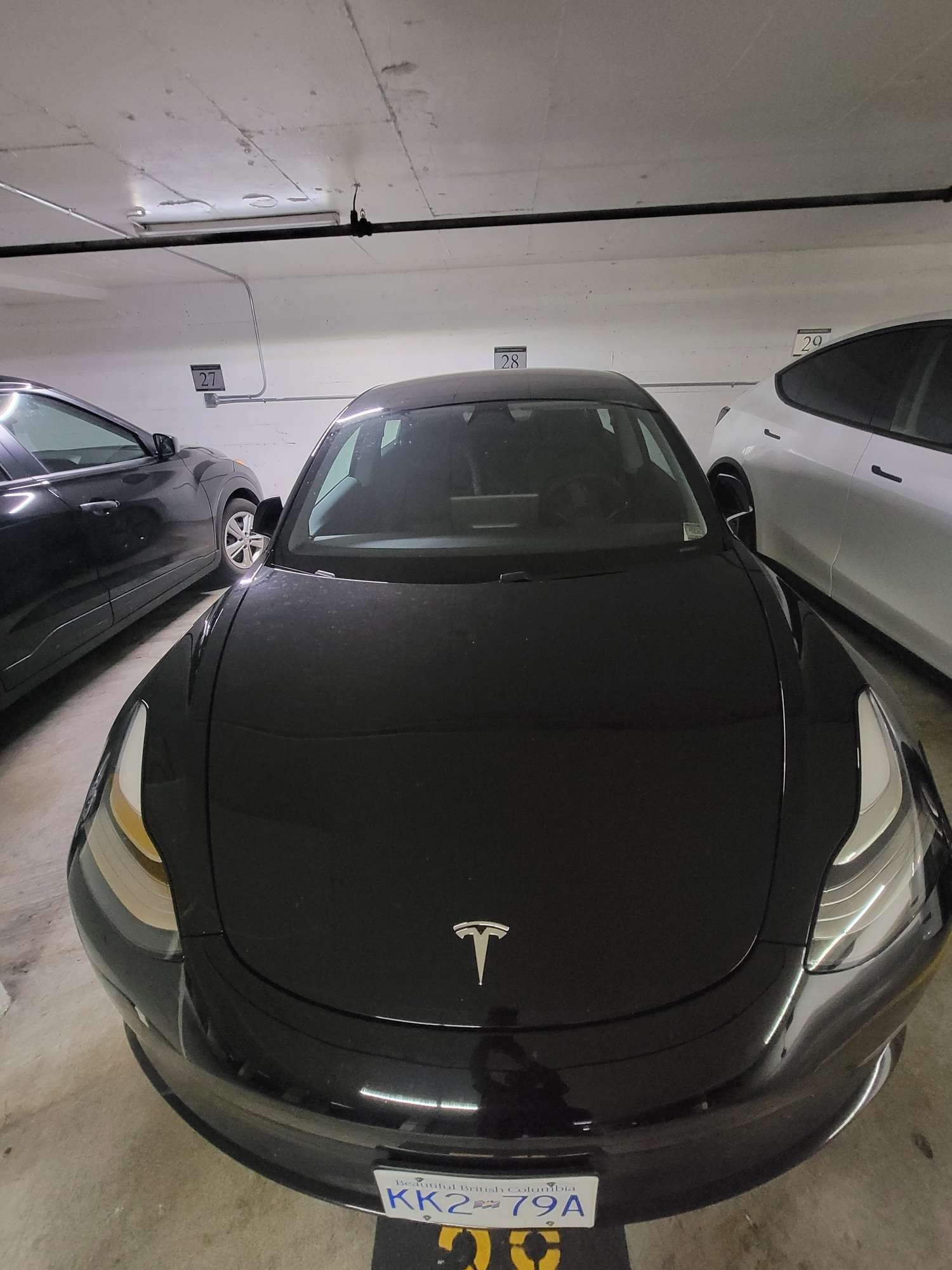2020 Tesla Model 3 Standard Range Plus RWD thumb 14