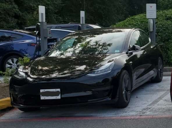 2020 Tesla Model 3 Standard Range Plus RWD alt 2