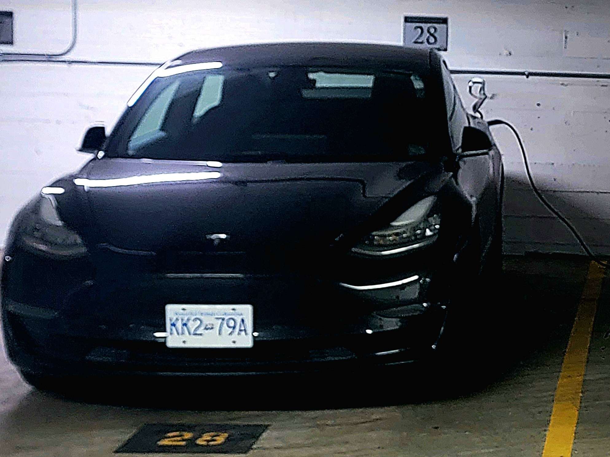 2020 Tesla Model 3 Standard Range Plus RWD alt 4