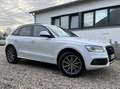Audi Q5 2.0 TDi Quattro S line /CUIR/XENON/GPS/GARANTI 1AN Wit - thumbnail 5