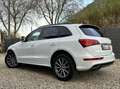 Audi Q5 2.0 TDi Quattro S line /CUIR/XENON/GPS/GARANTI 1AN Wit - thumbnail 24