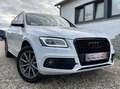 Audi Q5 2.0 TDi Quattro S line /CUIR/XENON/GPS/GARANTI 1AN Wit - thumbnail 2
