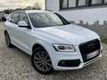 Audi Q5 2.0 TDi Quattro S line /CUIR/XENON/GPS/GARANTI 1AN Wit - thumbnail 7