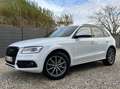 Audi Q5 2.0 TDi Quattro S line /CUIR/XENON/GPS/GARANTI 1AN Wit - thumbnail 4