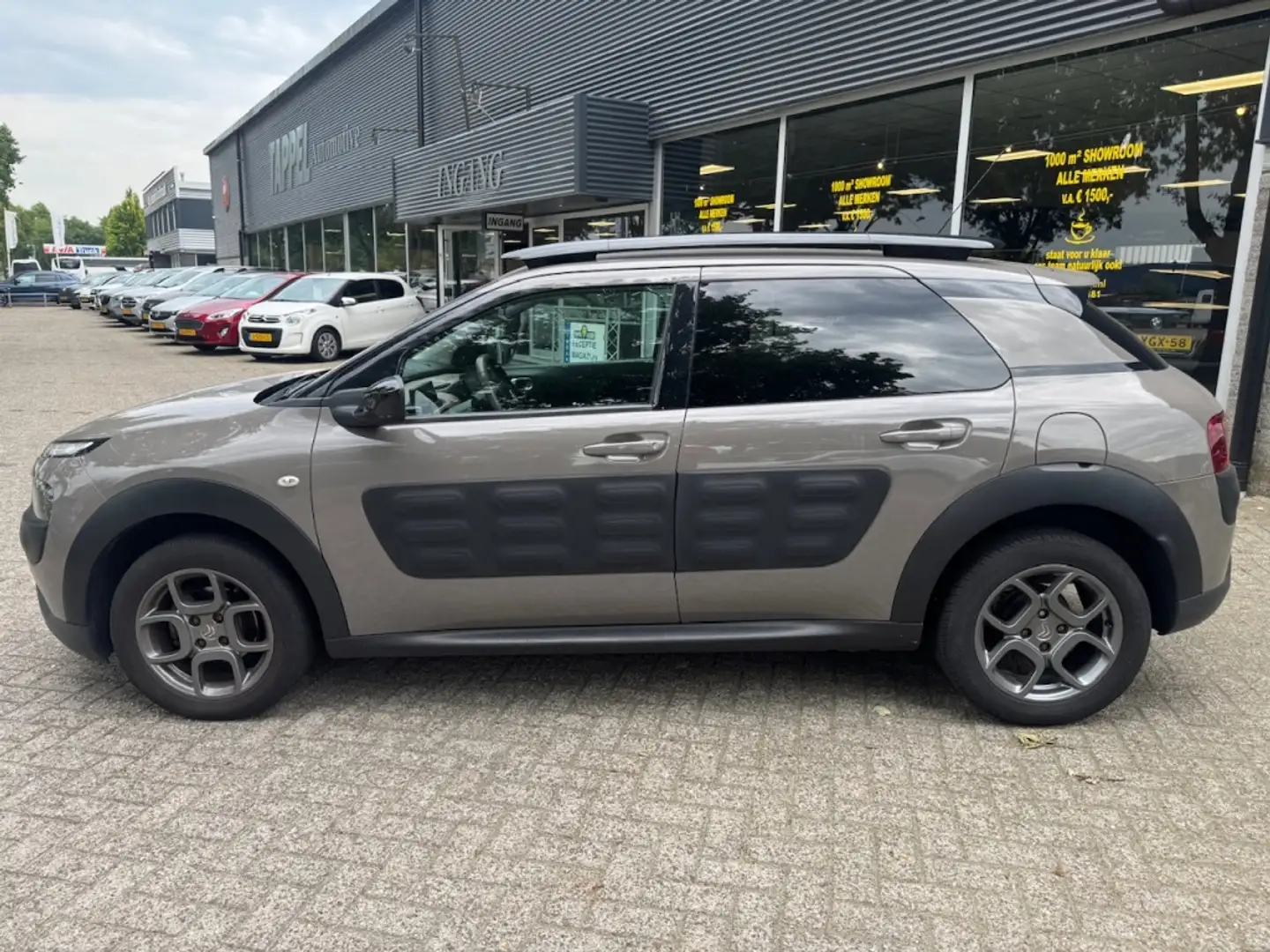 Citroen C4 Cactus 1.2 PureTech Shine AUTOMAAT!! Noir - 2