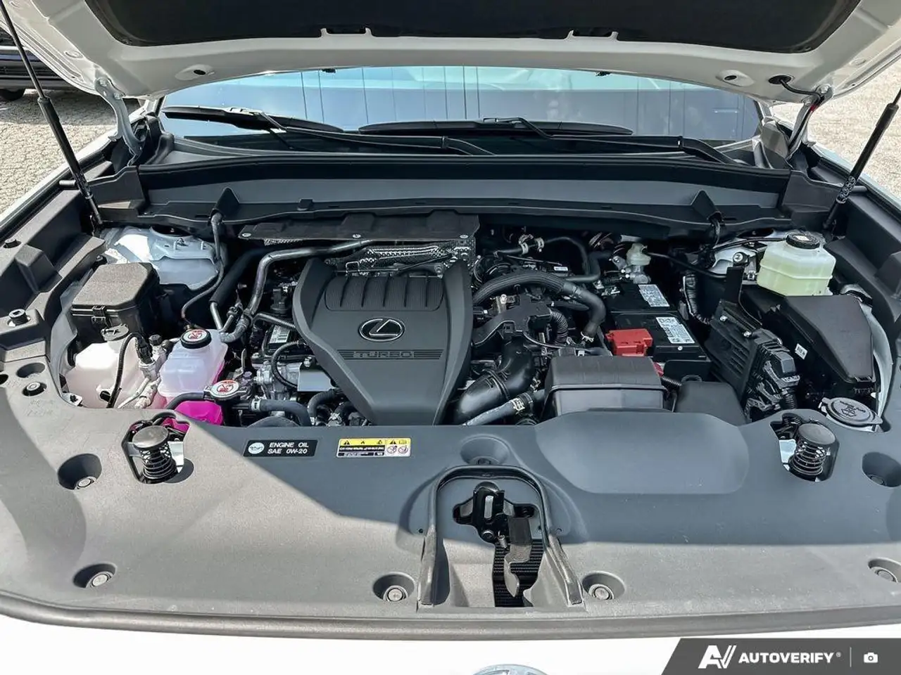 Lexus TX снимка Lexus TX