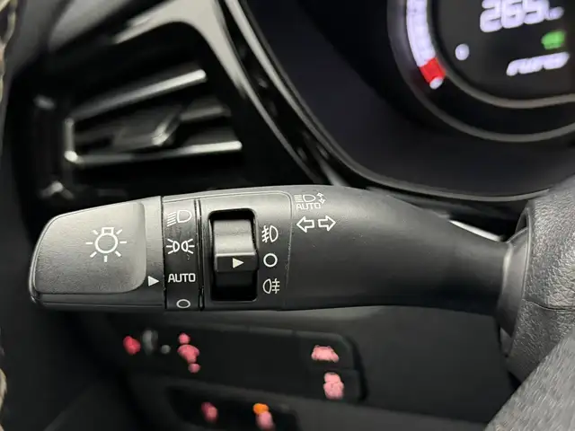 Kia E-Niro view 22