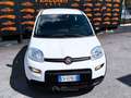 Fiat Panda 1.0 HYBRID FIREFLY DAB BLUE CITY CLIMA NEOPATENTAT Blanc - thumbnail 2