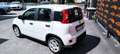 Fiat Panda 1.0 HYBRID FIREFLY DAB BLUE CITY CLIMA NEOPATENTAT Blanc - thumbnail 4