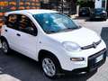 Fiat Panda 1.0 HYBRID FIREFLY DAB BLUE CITY CLIMA NEOPATENTAT Blanc - thumbnail 1
