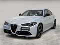 Alfa Romeo Giulia 2.2 t Competizione 160cv auto Blu/Azzurro - thumbnail 1