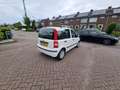 Fiat Panda 1.2 Edizione Cool, AIRCO. NW APK. Wit - thumbnail 10