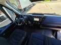 Iveco Daily 35S18 L4H3/ Fleischwagen/ Meattransport/ TK C 450 Gris - thumbnail 12