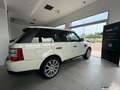 Land Rover Range Rover Sport 2.7 TDV6 HSE / UNICO PROPRIETARIO / PELLE / TETTO Bianco - thumbnail 5