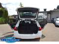 BMW 320 d xDrive M Sport Touring,Leder,Autom.,TOP Blanco - thumbnail 15