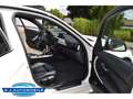 BMW 320 d xDrive M Sport Touring,Leder,Autom.,TOP Blanco - thumbnail 17