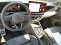 Volkswagen Tiguan Sport TDI 4MOTION DSG Grau - thumbnail 10