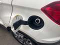 Ford EcoSport Titanium 1,0EcoBoost 125PS M5 F Weiß - thumbnail 14