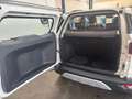 Ford EcoSport Titanium 1,0EcoBoost 125PS M5 F Weiß - thumbnail 13