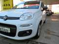 Fiat Panda 1.2 EASY Klima/SHZ/PDC Weiß - thumbnail 8