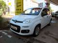 Fiat Panda 1.2 EASY Klima/SHZ/PDC Weiß - thumbnail 12