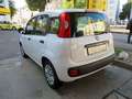 Fiat Panda 1.2 EASY Klima/SHZ/PDC Weiß - thumbnail 3