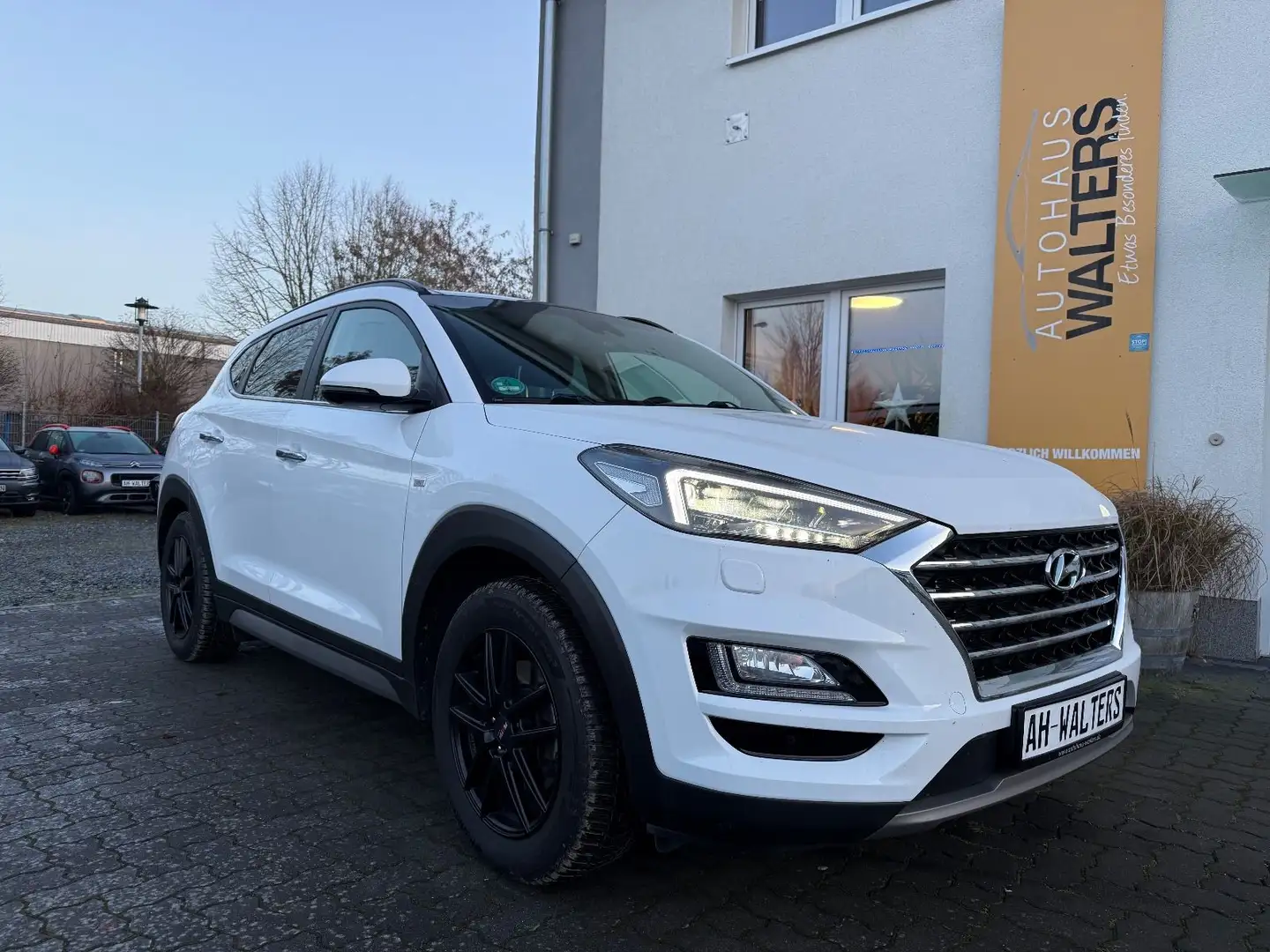 Hyundai TUCSON Premium 4WD=LED-Schiebedach-Leder-Kamera= Weiß - 1