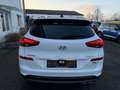 Hyundai TUCSON Premium 4WD=LED-Schiebedach-Leder-Kamera= Weiß - thumbnail 4