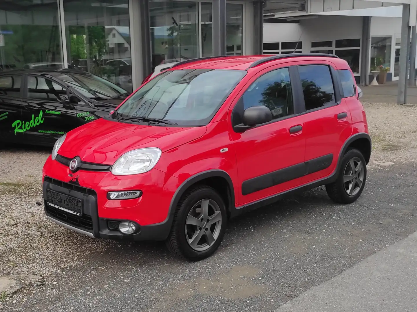 Fiat Panda 4x4 Rot - 1