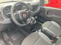 Fiat Panda 4x4 0.9 t.air t. 4x4 MULTIFUNZIONE CLIMA PERFETTA Bianco - thumbnail 8