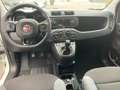 Fiat Panda 4x4 0.9 t.air t. 4x4 MULTIFUNZIONE CLIMA PERFETTA Bianco - thumbnail 9