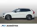 Volvo XC60 B4 AWD R-Design AHK/ACC/HUD/PANO/BLIS/21'' Wit - thumbnail 2