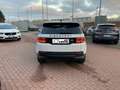 Land Rover Discovery Sport S 2.0d i4 MILD HYBRID AWD-Iva Deducubile-UNIPROP Bianco - thumbnail 6