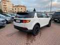 Land Rover Discovery Sport S 2.0d i4 MILD HYBRID AWD-Iva Deducubile-UNIPROP Bianco - thumbnail 5