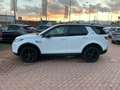 Land Rover Discovery Sport S 2.0d i4 MILD HYBRID AWD-Iva Deducubile-UNIPROP Bianco - thumbnail 8